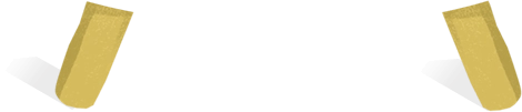 支架